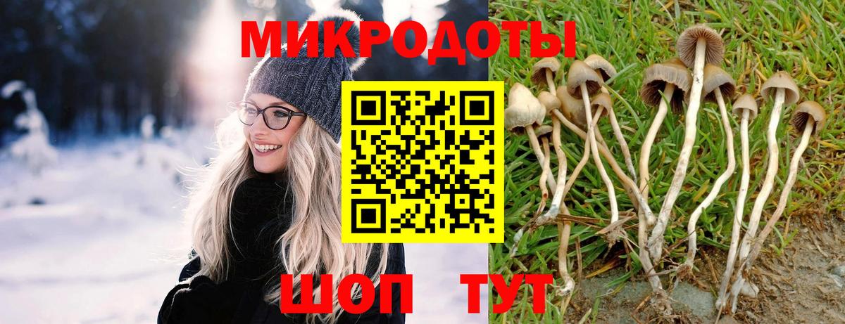 Псилоцибиновые грибы Cubensis Тихорецк