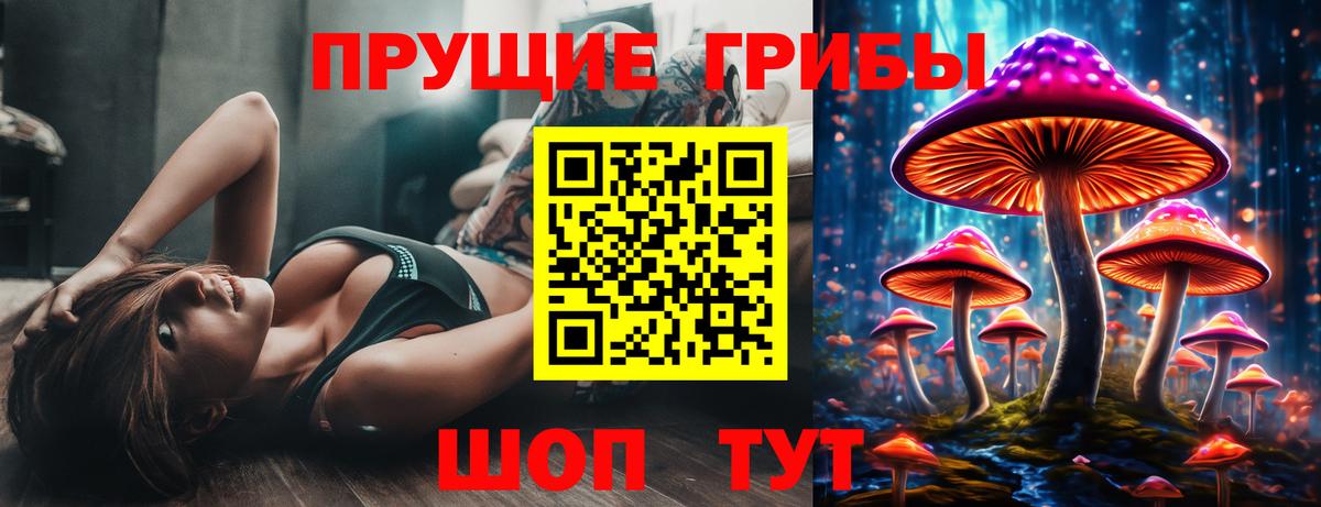 Псилоцибиновые грибы Psilocybine cubensis  наркотики  Тихорецк  Вход с VPN  Псилоцибиновые грибы Magic Shrooms 